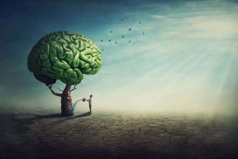 brain tree depicting repairing the damage caused by drugs