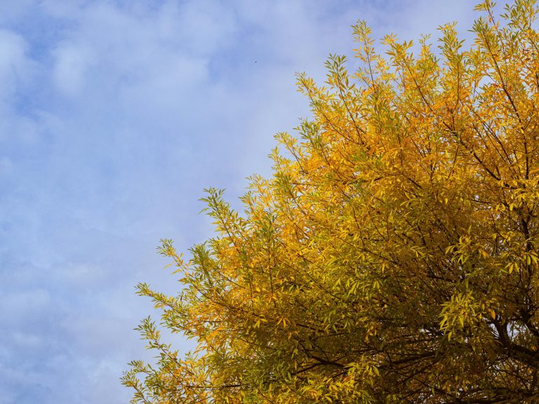 How to Support an Addict in Recovery